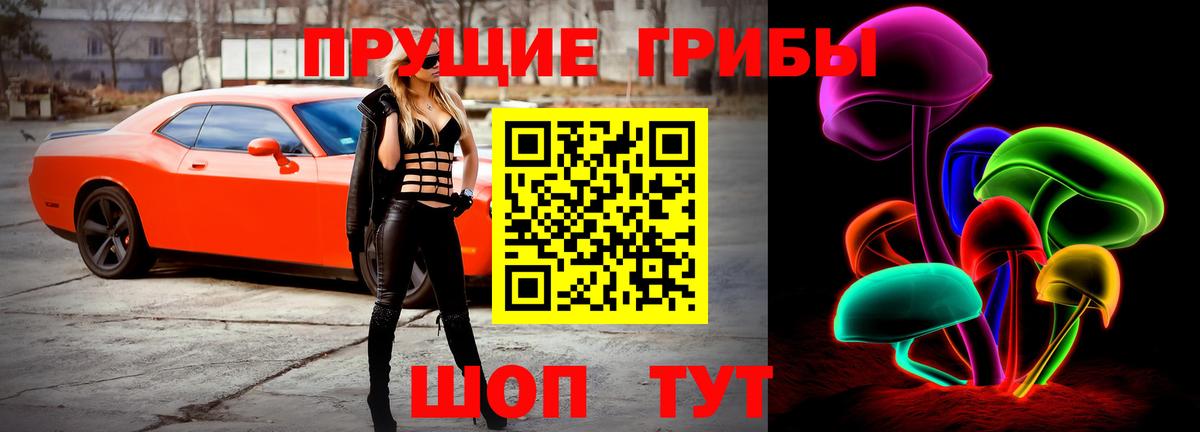 Галлюциногенные грибы MAGIC MUSHROOMS  Вход с VPN  Нарткала 